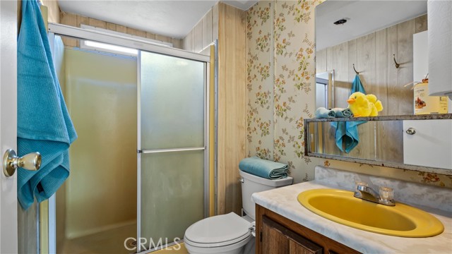 21378 Jerusalem Grade, Lower Lake