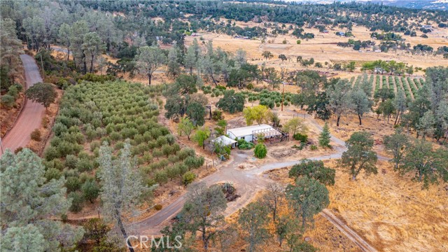 21378 Jerusalem Grade, Lower Lake