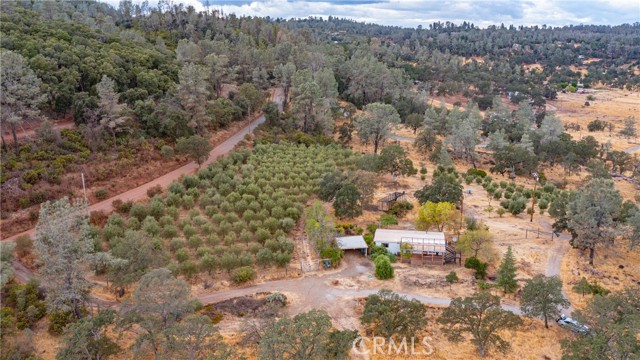 21378 Jerusalem Grade, Lower Lake