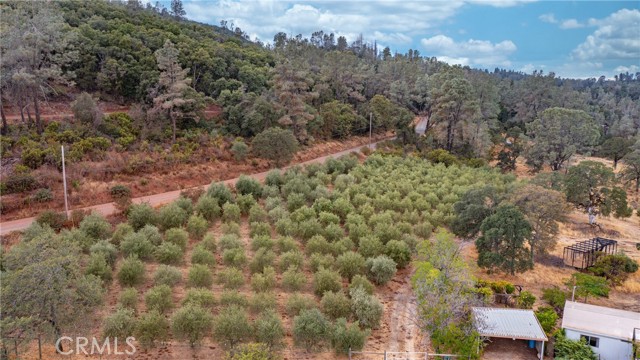 21378 Jerusalem Grade, Lower Lake