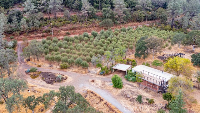 21378 Jerusalem Grade, Lower Lake