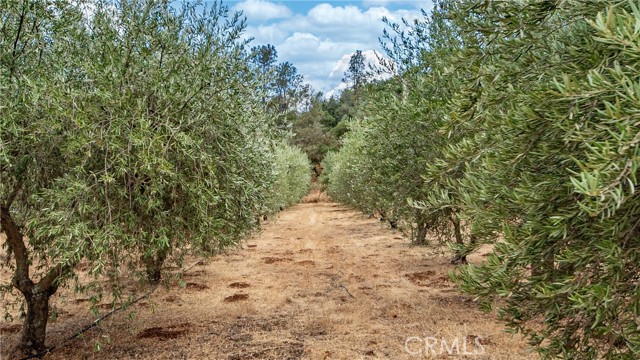 21378 Jerusalem Grade, Lower Lake