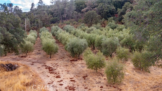 21378 Jerusalem Grade, Lower Lake