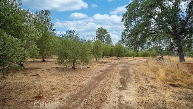 21378 Jerusalem Grade, Lower Lake