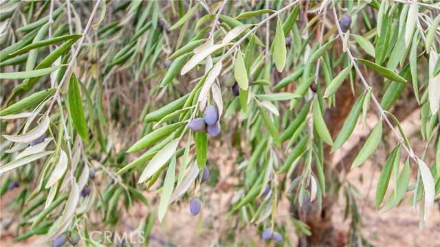 21378 Jerusalem Grade, Lower Lake