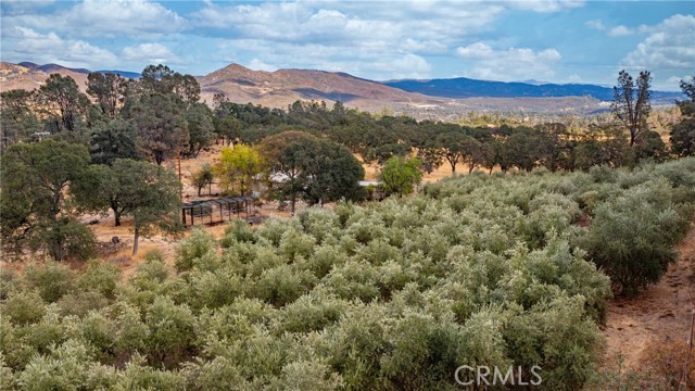 21378 Jerusalem Grade, Lower Lake