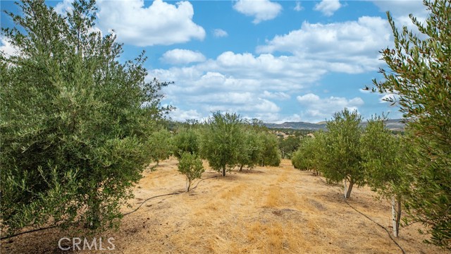 21378 Jerusalem Grade, Lower Lake