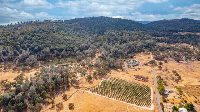 21378 Jerusalem Grade, Lower Lake