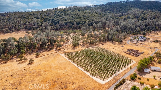 21378 Jerusalem Grade, Lower Lake