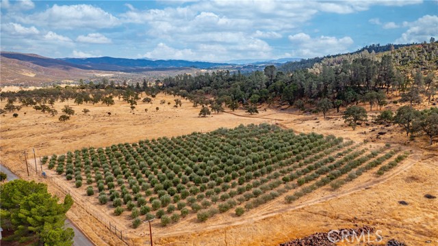 21378 Jerusalem Grade, Lower Lake