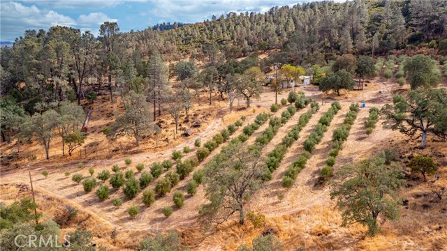 21378 Jerusalem Grade, Lower Lake