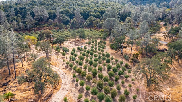 21378 Jerusalem Grade, Lower Lake