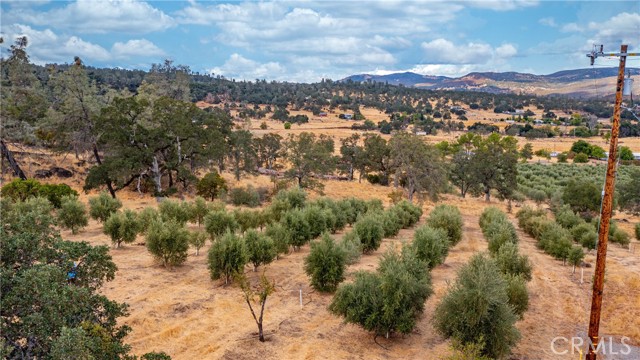 21378 Jerusalem Grade, Lower Lake