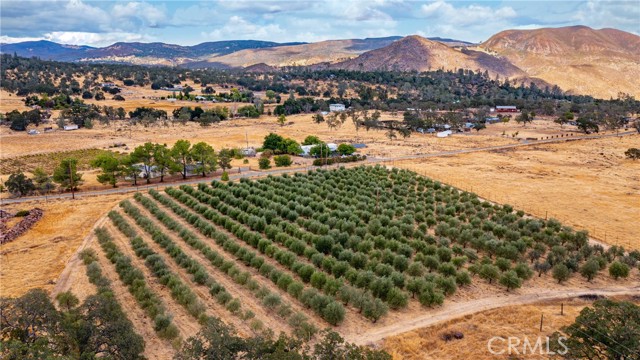 21378 Jerusalem Grade, Lower Lake