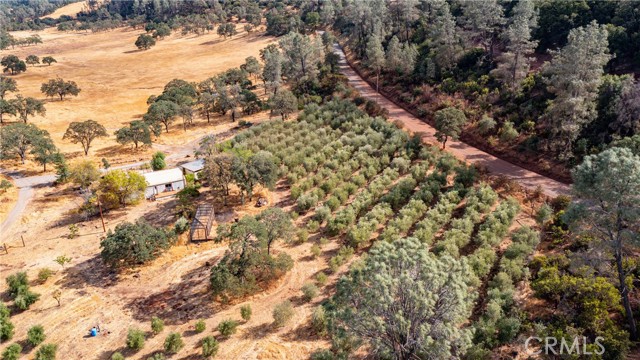 21378 Jerusalem Grade, Lower Lake