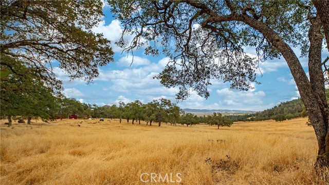 21378 Jerusalem Grade, Lower Lake