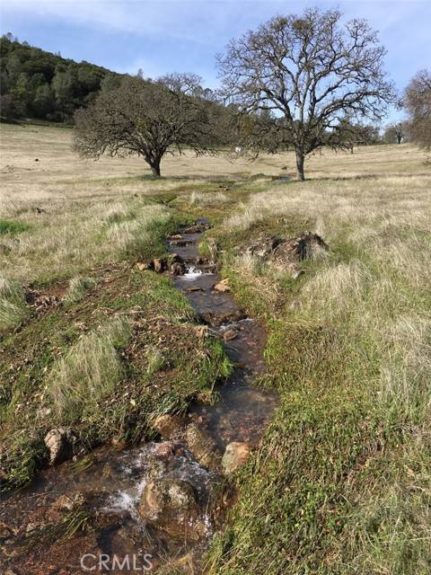 21378 Jerusalem Grade, Lower Lake