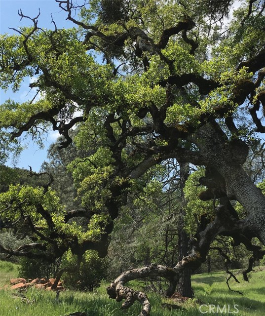 21378 Jerusalem Grade, Lower Lake