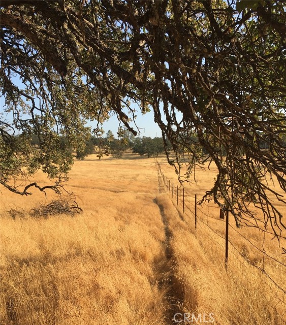 21378 Jerusalem Grade, Lower Lake