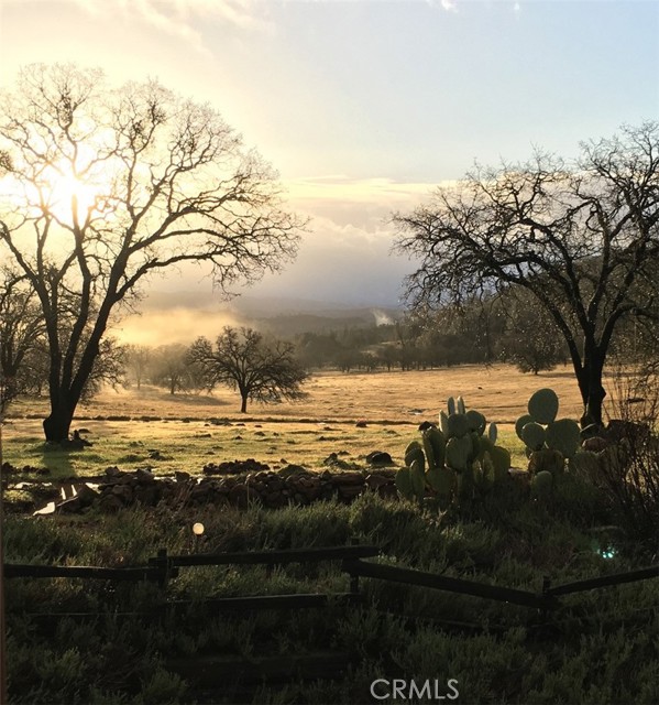 21378 Jerusalem Grade, Lower Lake