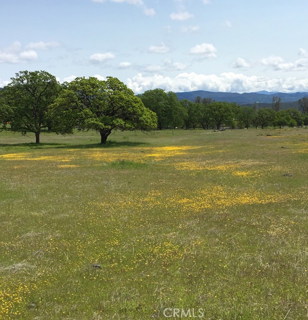 21378 Jerusalem Grade, Lower Lake