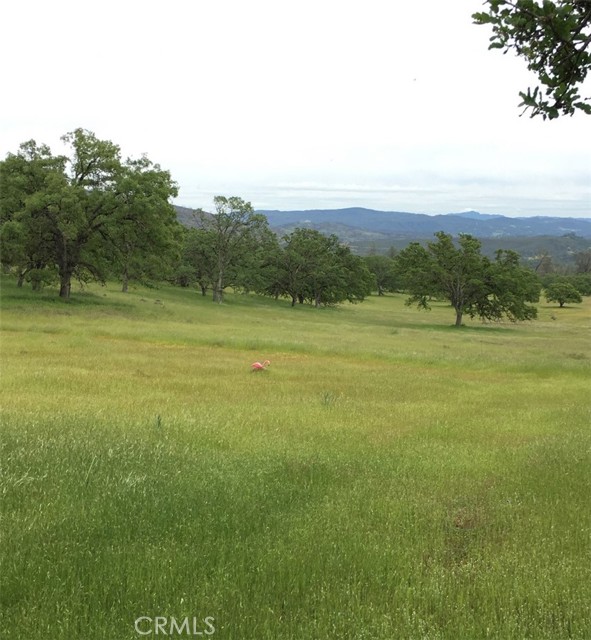 21378 Jerusalem Grade, Lower Lake