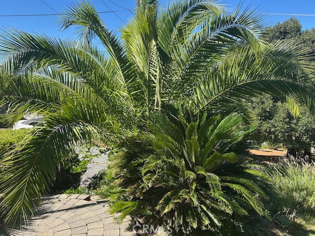 7061 Fairview Drive, Kelseyville