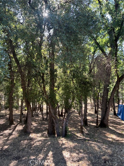 5723 Inca Way, Kelseyville