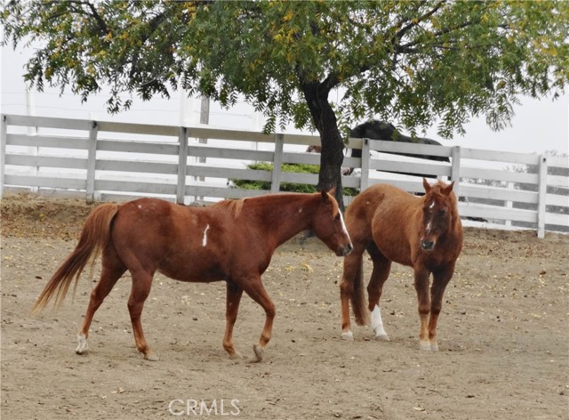 8900 Wight Way, Kelseyville