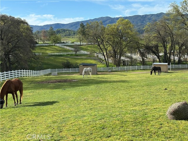 8900 Wight Way, Kelseyville