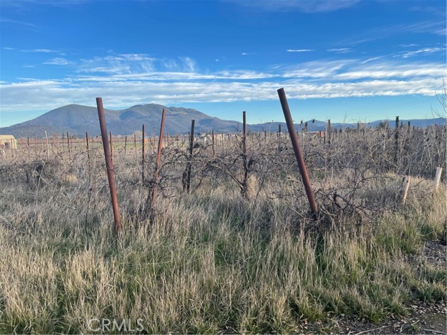 3035 Soda Bay Road, Lakeport