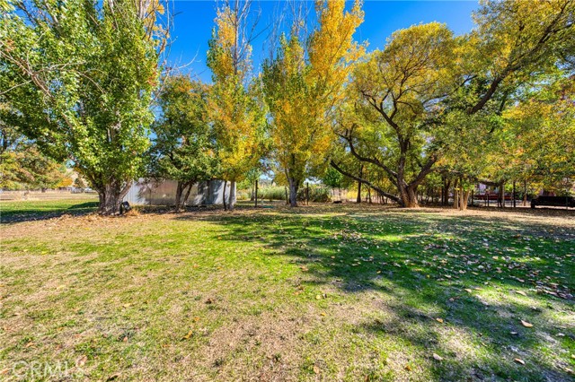 11694 Old Spruce Grove, Lower Lake