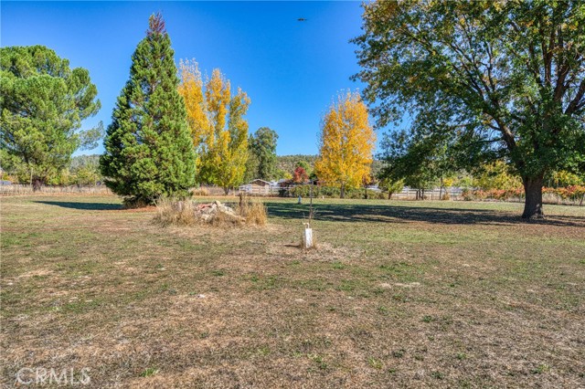 11694 Old Spruce Grove, Lower Lake