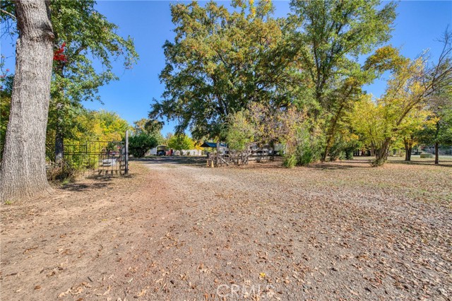 11694 Old Spruce Grove, Lower Lake