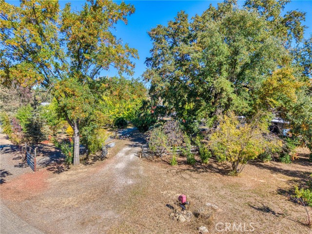 11694 Old Spruce Grove, Lower Lake