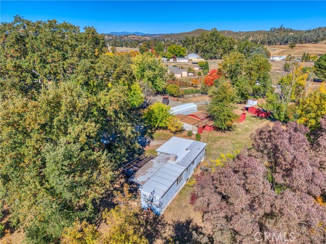 11694 Old Spruce Grove, Lower Lake