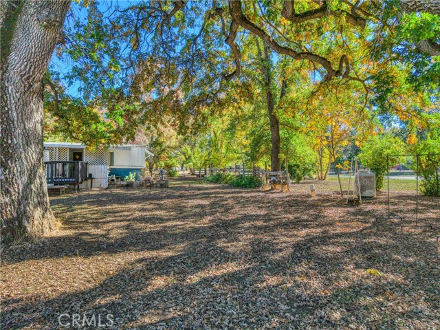 11694 Old Spruce Grove, Lower Lake