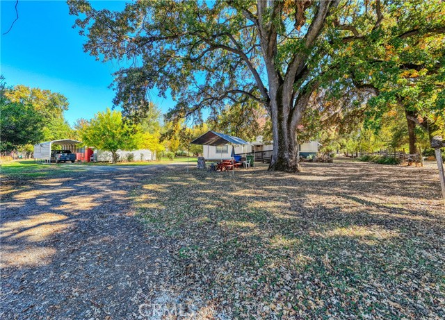 11694 Old Spruce Grove, Lower Lake