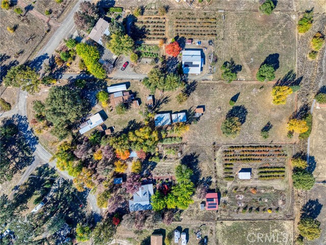 11694 Old Spruce Grove, Lower Lake