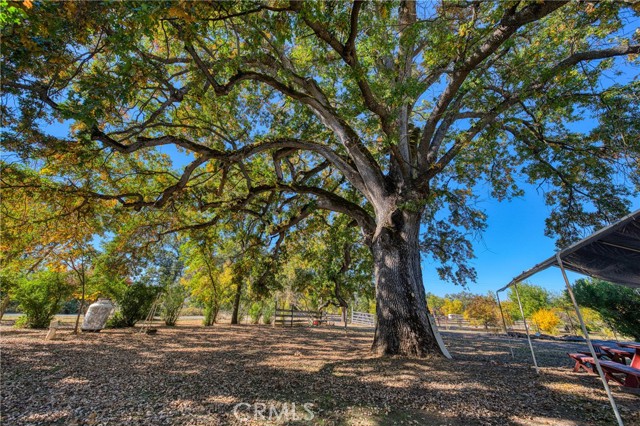 11694 Old Spruce Grove, Lower Lake