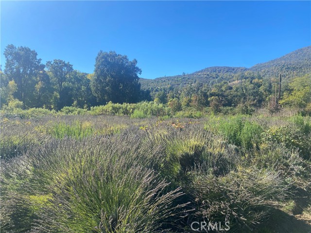 11255 Rancheria Rd, Upper Lake