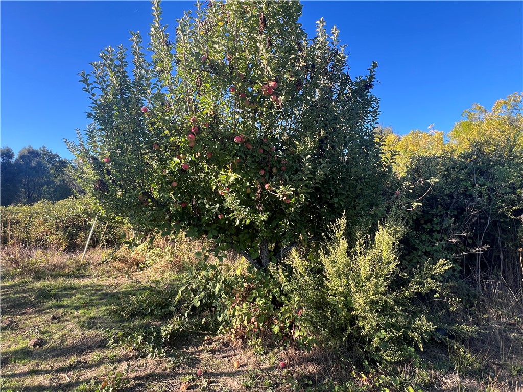 11255 Rancheria Rd, Upper Lake