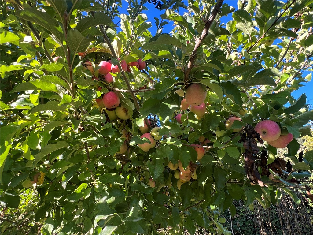 11255 Rancheria Rd, Upper Lake