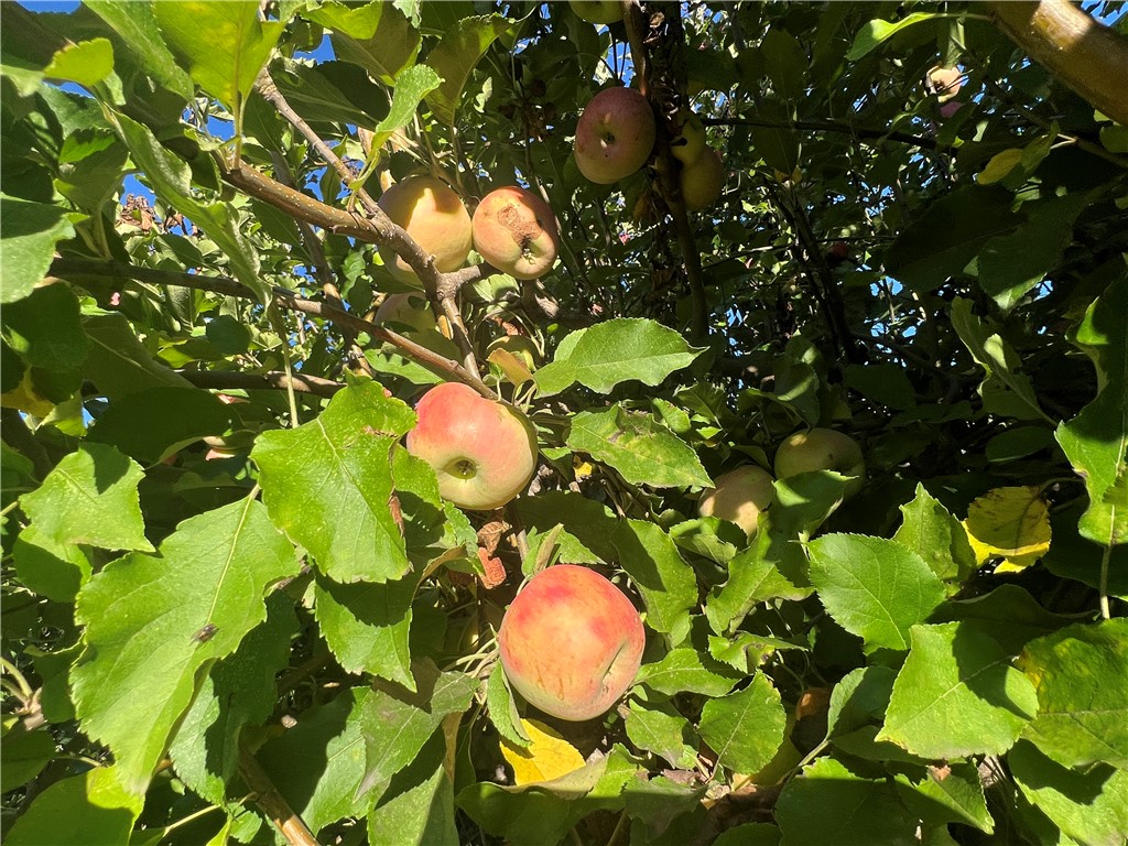 11255 Rancheria Rd, Upper Lake