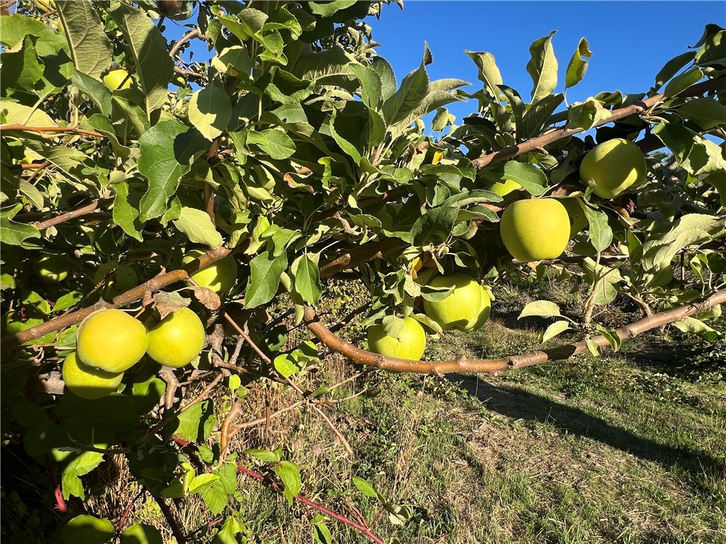 11255 Rancheria Rd, Upper Lake