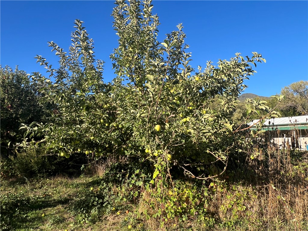 11255 Rancheria Rd, Upper Lake