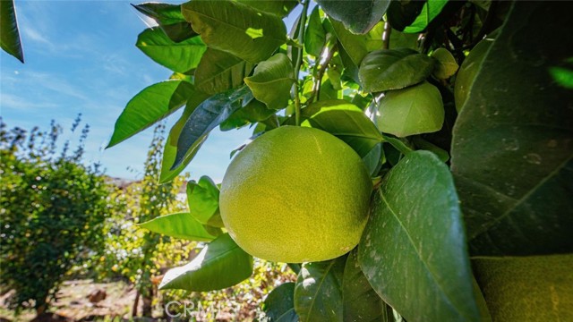 18413 Deer Hill Road, Hidden Valley Lake