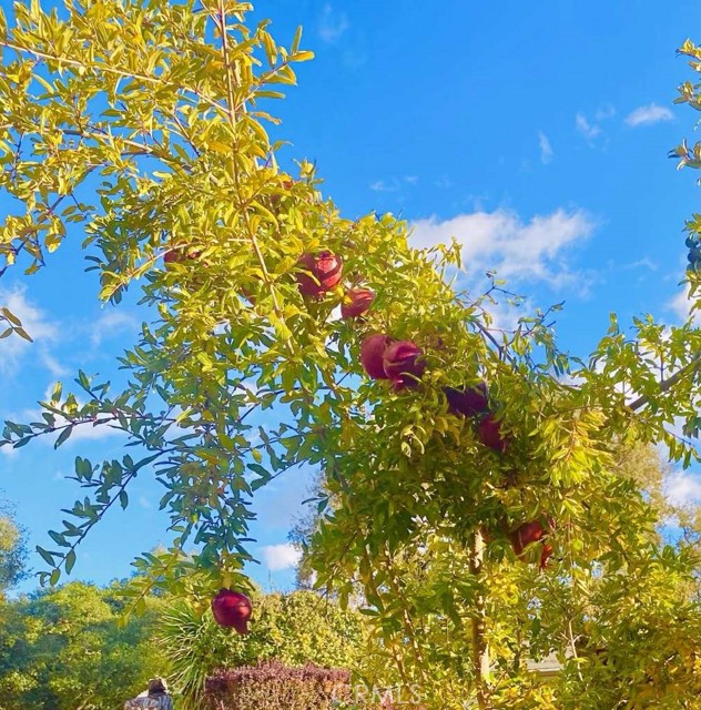 2900 Oakcrest Drive, Lucerne