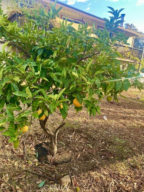 2900 Oakcrest Drive, Lucerne