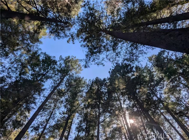 16135 Bottle Rock rd., Cobb